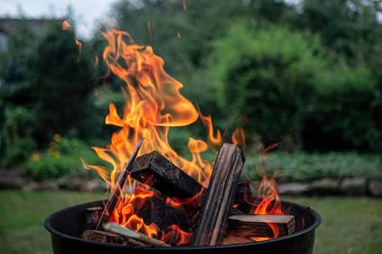 Lagerfeuer — das digitale Lagerfeuer der Terra Viva Akademy